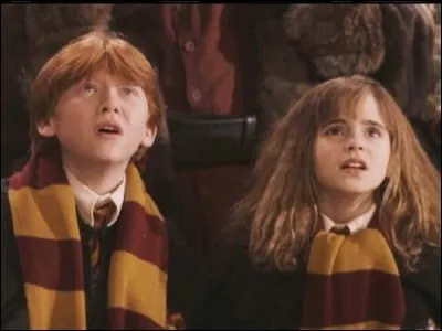 Pendant le match de Quidditch, le balai d'Harry est incontrôlable. Ron et Hermione pensent que Rogue en est la cause. Que fait Hermione pour stopper Rogue ?