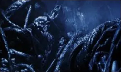 Voyant que Ron ne parvient pas à se défaire du Filet du Diable, Hermione décide de lui venir en aide. Quel est le point faible du Filet du Diable ?