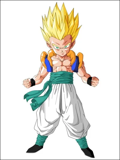 Gotrunks est la fusion de....