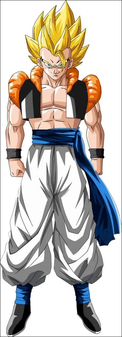 Gogeta est ...