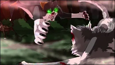 Tu es devenu guerrier sous le nom d'Écailles de Lézard. Tu es en train de chasser, seul et un guerrier du Clan du Tonnerre t'attaque.