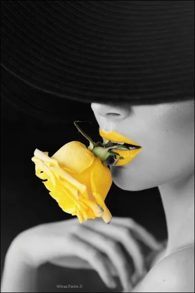 Qui chantait "J'ai la mémoire qui flanche, j'me souviens plus très bien" ?