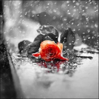 Quant à lui, il chantait "Pleurer pour qui pour quoi, pour quelques souvenirs, pour quelques mots d'amour jetés dans une cour et qui s'en vont mourir" :