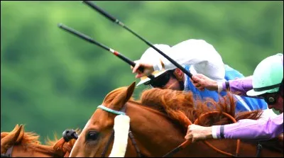 Pourquoi utilise-t-on une cravache ?