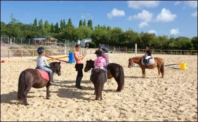 Quelle distance doit-on laisser entre son poney/cheval et le poney/cheval qui est devant soi ?