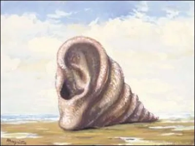 Qui a peint "Coquillage en forme d'oreille" ?