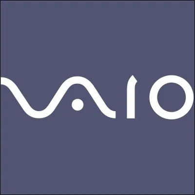Quel produit vend la marque Vaio ?