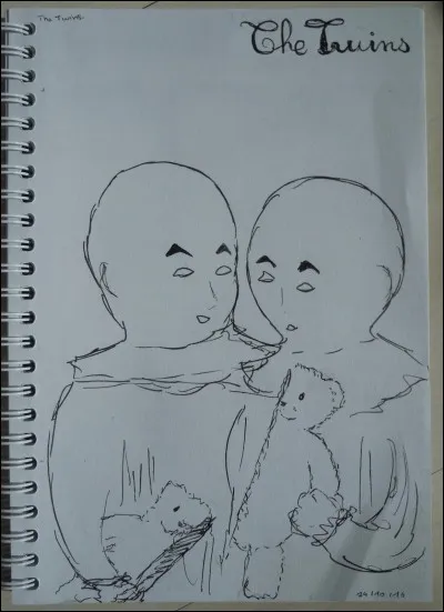 Quel est le pouvoir des jumeaux ?