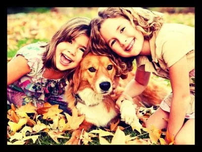 La température corporelle des chiens est-elle plus basse ou plus haute que les humains ?