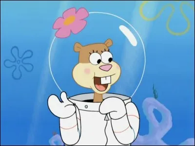 Quel est le nom de famille de Sandy ?