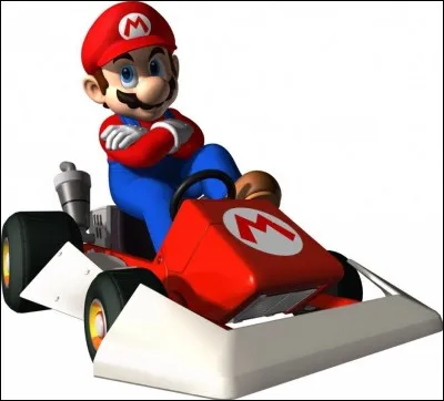 Quel personnage n'est jamais apparu dans Mario Kart DS ?