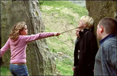 Sélectionne ce qui va se passer entre Hermione et Drago.