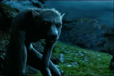 De quelle manière Hermione devine-t-elle que Lupin est un loup-garou ?
