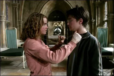 Pourquoi Hermione et Harry utilisent-ils le Retourneur de Temps ?