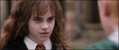 Hermione se fait traiter de Sang-de-Bourbe de la part de Drago. Que signifie un Sang-de-Bourbe ?