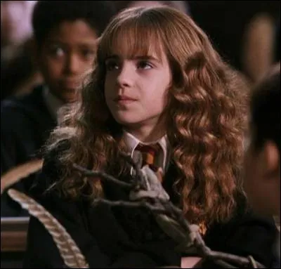 Laquelle de ces propositions a permis à Hermione de ne pas regarder le Basilic droit dans ses yeux ?