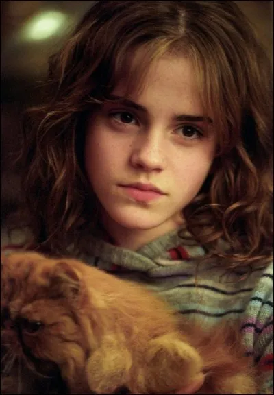Quelle matière Hermione déteste-t-elle ?
