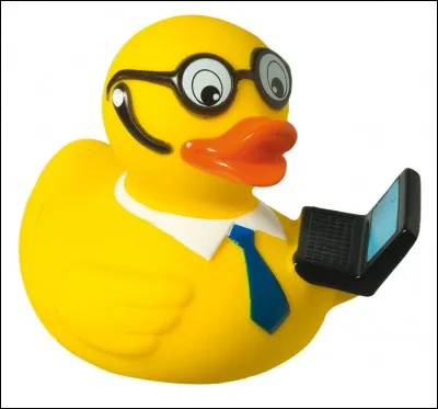 Complétez : ''Ça ne casse pas -------- patte(s) à un canard'' .