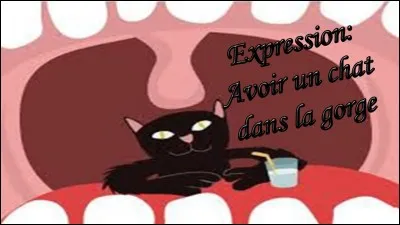 En France, on dit ''avoir un chat dans la gorge'' . Que disent nos amis anglophones ?
