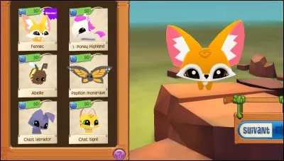 Peut-on habiller un familier ?