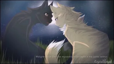 Maintenant, qui est le compagnon de Patte de Brume ?