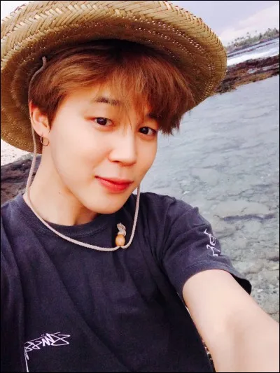 Quel est le signe astrologique de Jimin ?