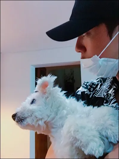 Comment s'appelle le chien de Jungkook ?