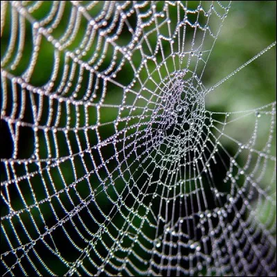 La porte est ouverte alors il entre. L'intérieur est rempli de toiles d'araignées. En espagnol, cela se dit :