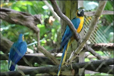 Résumé condensé d'une oeuvre, d'une science ou d'un scénario !