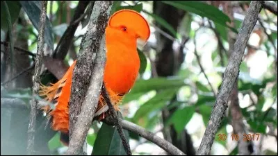 Tout de suite, immédiatement, sans délai !