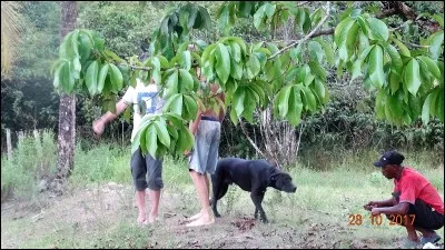 Situé en Guadeloupe, je suis un archipel réputé , les ...