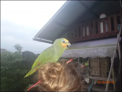 C'est du pareil au même !