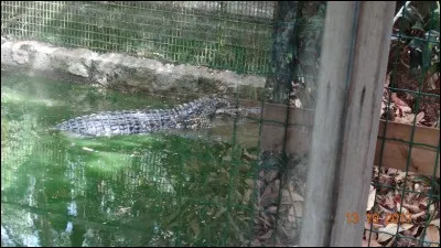 Film de et avec Clint Eastwood : La ...