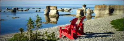 Découvrez, dans ce jardin botanique naturel, ces monolithes de calcaire sculptés par la mer. Ce parc national est localisé sur la côte nord du golfe St-Laurent, au large de Havre-Saint-Pierre ; profitez d'une de ces 1 000 îles, îlots et cayes, pour camper, puis écouter et rêver aux sons des baleines, loups marins et phoques :