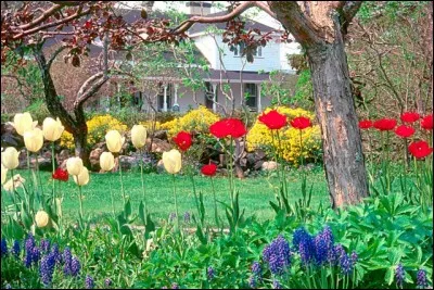 Les Reford ont ajouté à la fortune familiale en faisant du transport maritime. Elsie avait étudié en Allemagne et à Paris ; en 1926, elle entreprend de transformer en jardins leur camp de pêche situé sur la partie nord de la péninsule de la Gaspésie.
Une villa offre une saisissante vue sur « la mer » au coucher du soleil, sa galerie périphérique, ses salles à manger inspirées des jardins :