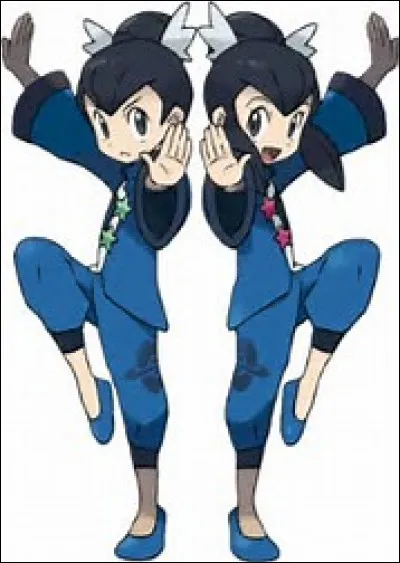 Sont-ils champions ?