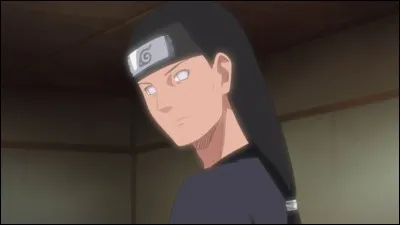 Hizashi - Qu'est-ce qui est faux à son sujet ?