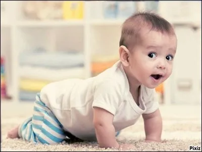 Un b&eacute;b&eacute; est capable de parcourir environ 100 km &agrave; quatre pattes.