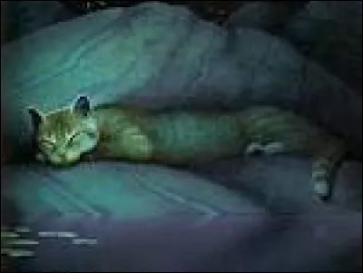 Dans les souvenirs de Source, Nuage de Geai assiste à la mort d'un chat de la Tribu. Qui est-ce ?