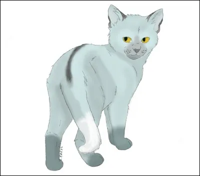 Quel chat meurt dans ''La Quatrième apprentie'' ?