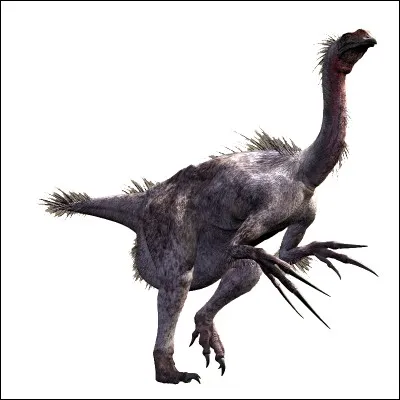 Quelle était la taille de Therizinosaurus ? (longueur)
