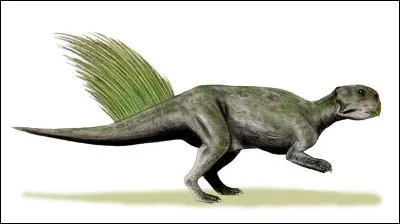 Quel est ce dinosaure ?