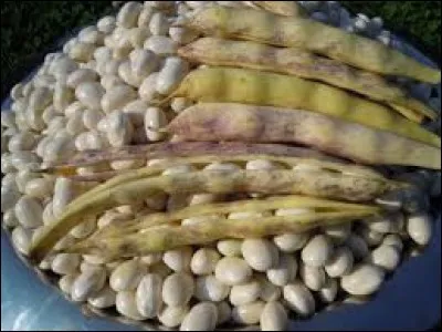 De quelle ville bretonne est originaire cet haricot blanc ?