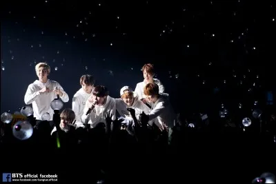 Quel est le nom du fandom des BTS ?