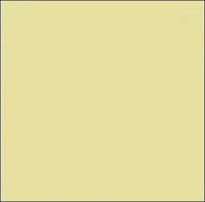 Quel est ce Pokémon bug ?