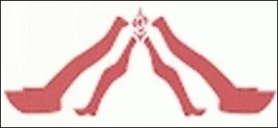 Nous le savons tous, cette paire d'ailes appartient à la race la plus puissante du jeu. Ces joueurs maîtrisent le feu et sont très doués pour les combats. Mais de quelle race s'agit-il ?