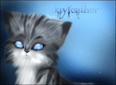 Pourquoi Nuage de Jais quitte-t-il le clan du Tonnerre ?