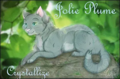 Par qui Jolie Plume se fait-elle tuer ?