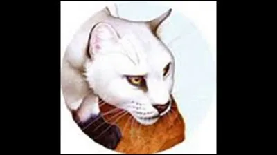 Comment s'appelle la sur de Cur de Feu ?