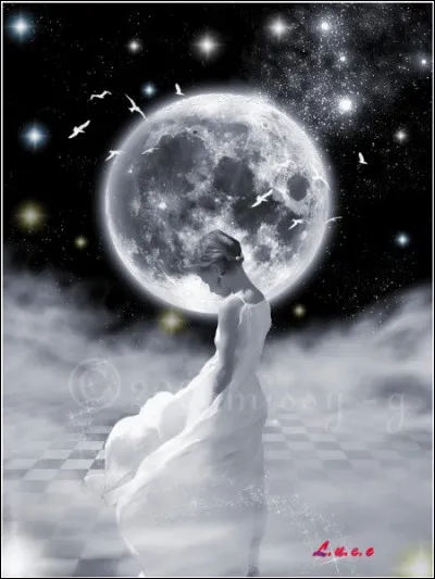 Une belle dont les dessous ne manquent pas de piquant.